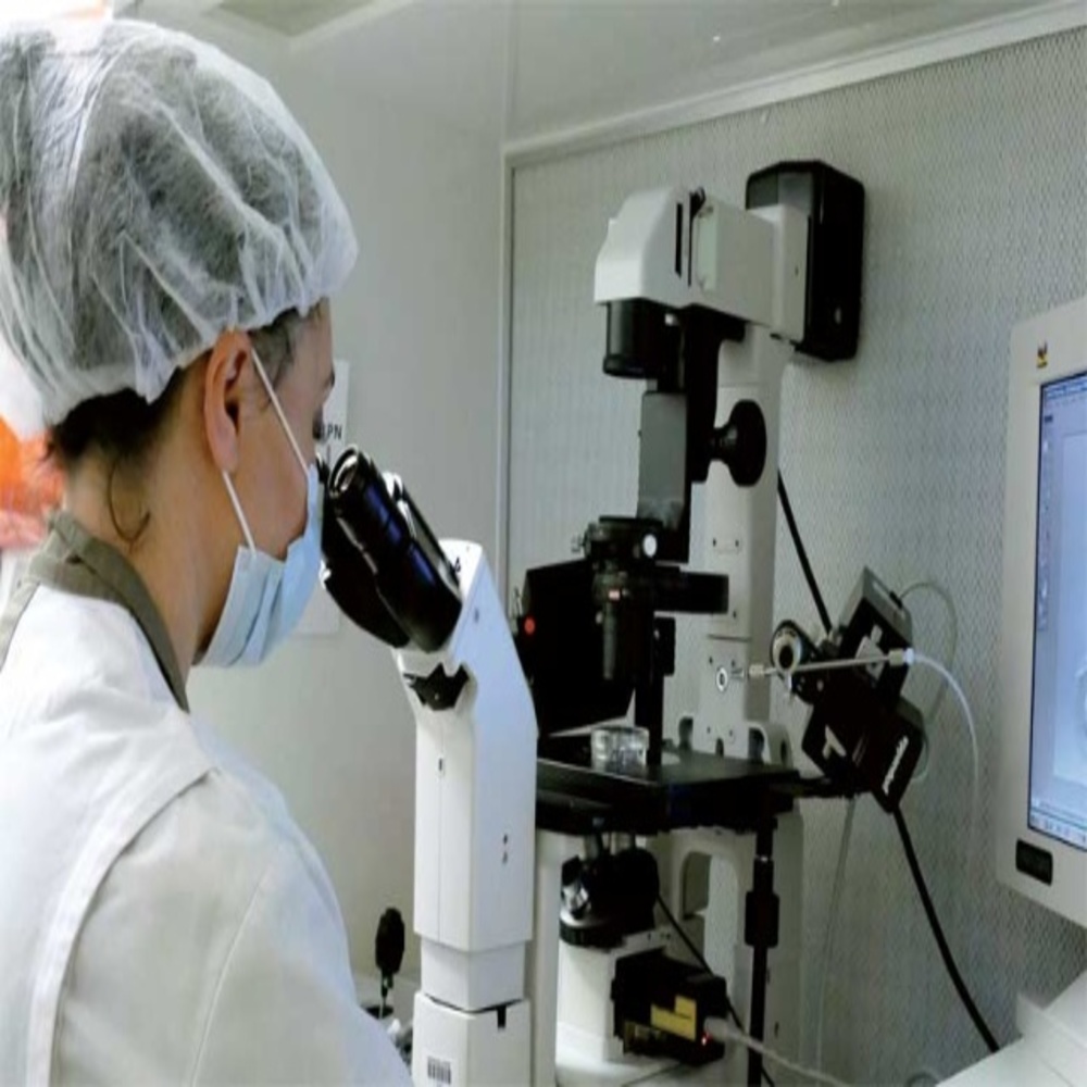 Cấy gen tóc | Có thể bạn chưa biết